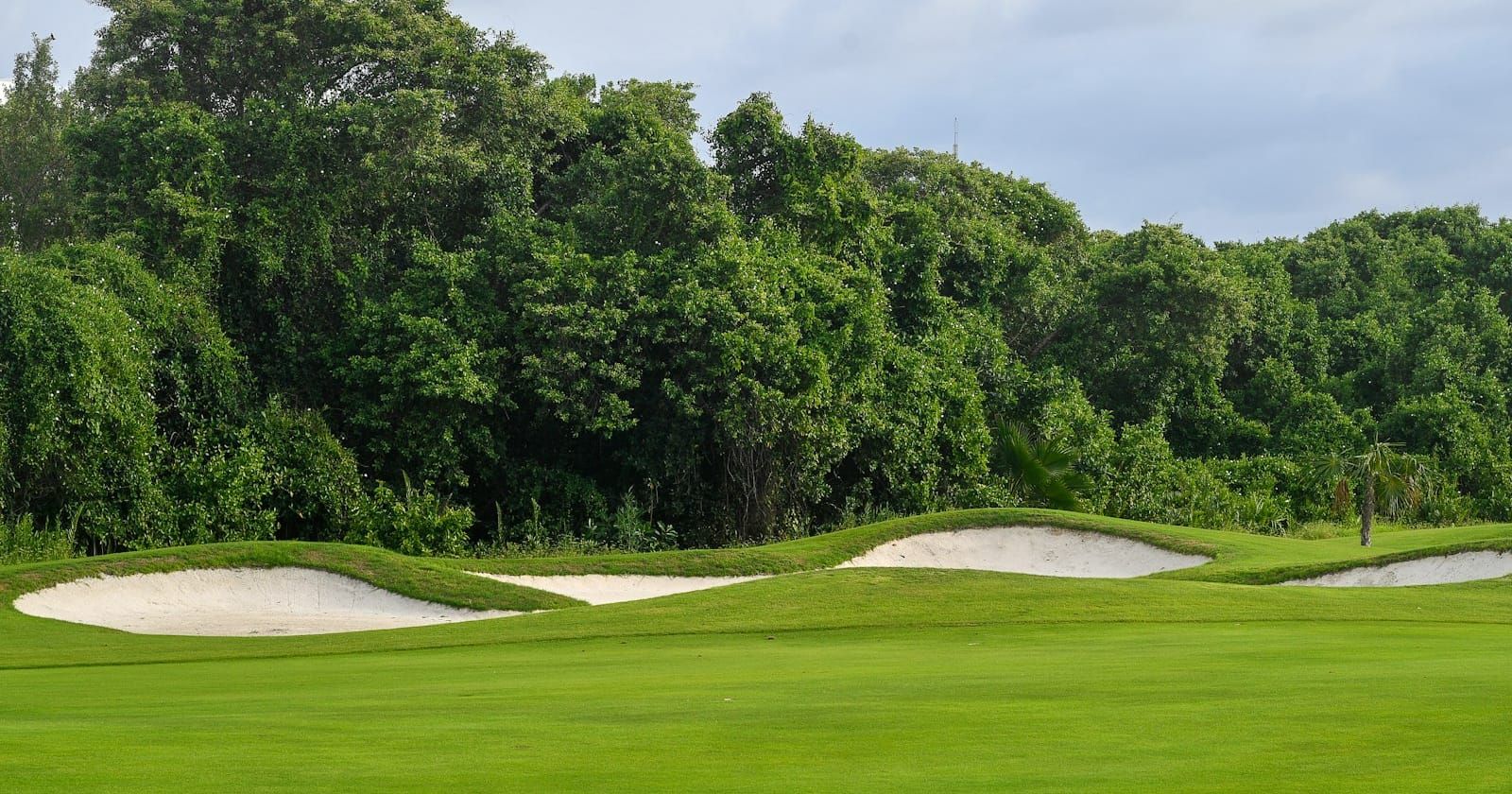Golf course fairway with sand bunkers and lush tropical trees