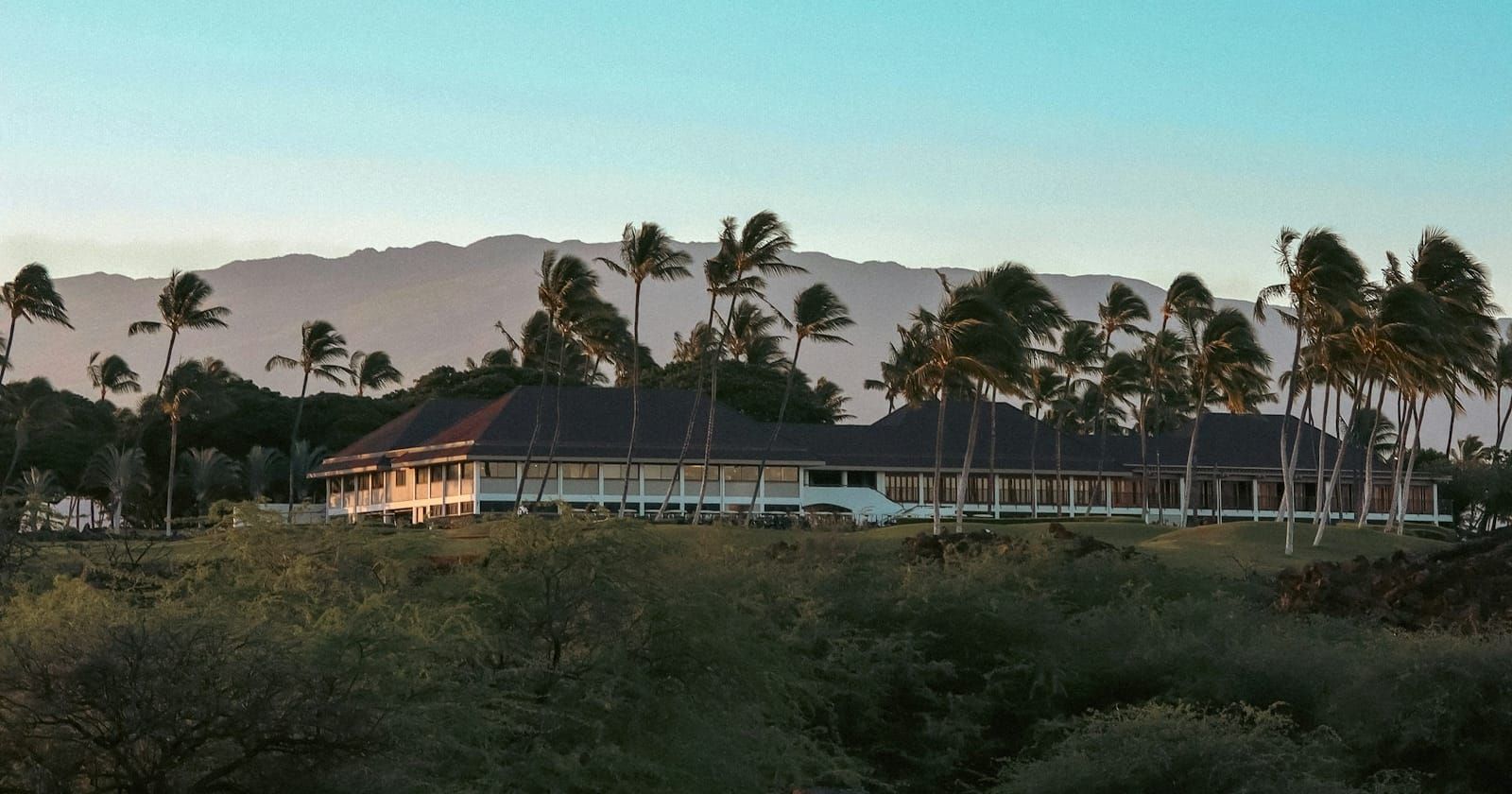 Golf clubhouse among palm trees above the course